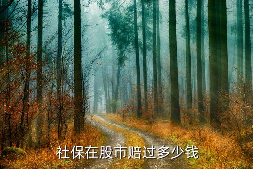 社保基金指數(shù)