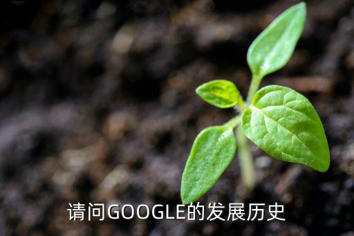 請(qǐng)問(wèn)GOOGLE的發(fā)展歷史