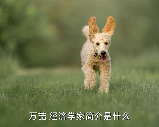 萬喆 經(jīng)濟學家簡介是什么