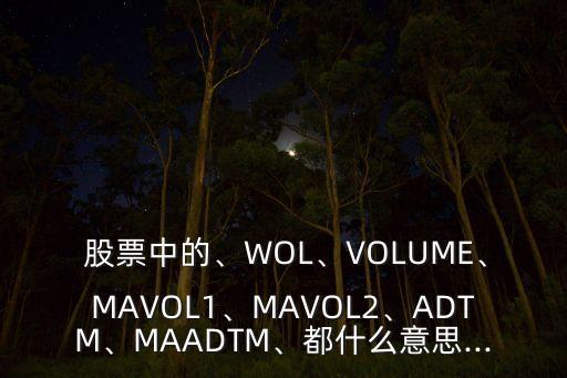  股票中的、WOL、VOLUME、MAVOL1、MAVOL2、ADTM、MAADTM、都什么意思...