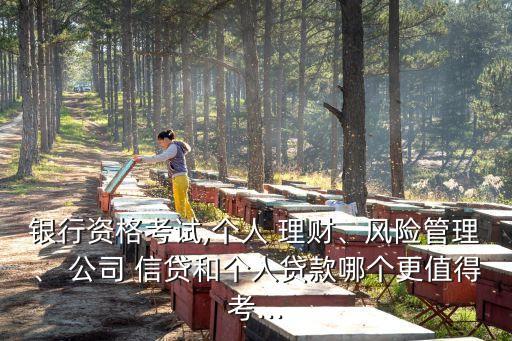 銀行資格考試,個人 理財、風(fēng)險管理、 公司 信貸和個人貸款哪個更值得考...