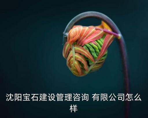 龐?？毓捎邢薰?安徽龐海智能設(shè)備制造有限公司