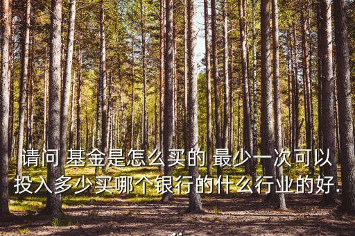 請(qǐng)問(wèn) 基金是怎么買的 最少一次可以投入多少買哪個(gè)銀行的什么行業(yè)的好...
