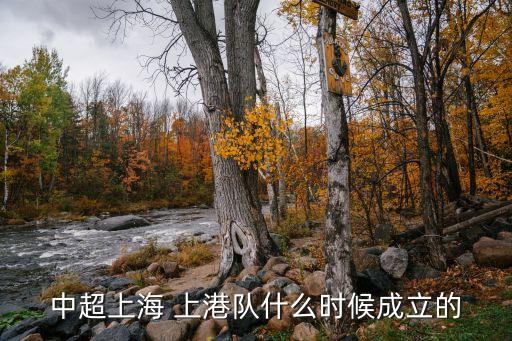 上港集團(tuán)什么時(shí)候復(fù)盤(pán),九江市上港集團(tuán)什么時(shí)候搬走
