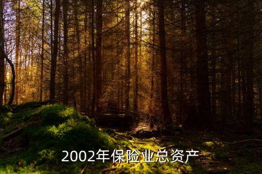 2002年保險業(yè)總資產