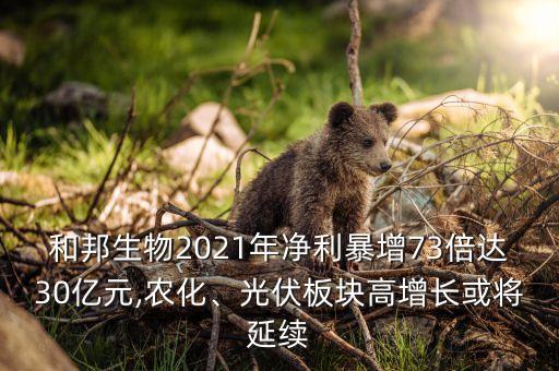 和邦生物2021年凈利暴增73倍達30億元,農(nóng)化、光伏板塊高增長或?qū)⒀永m(xù)
