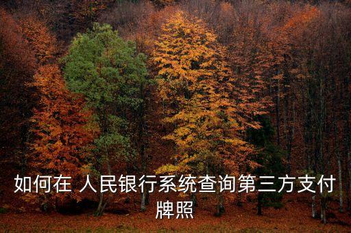 如何在 人民銀行系統查詢第三方支付牌照