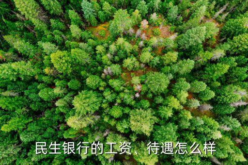  民生銀行的工資、待遇怎么樣