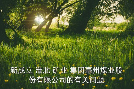 新成立 淮北 礦業(yè) 集團亳州煤業(yè)股份有限公司的有關(guān)問題