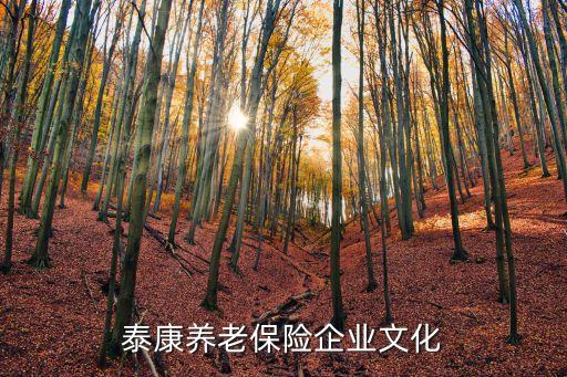泰康養(yǎng)老保險企業(yè)文化