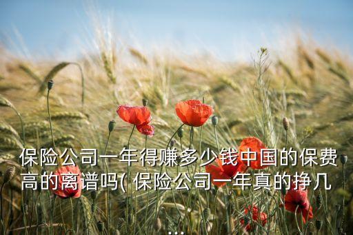  保險(xiǎn)公司一年得賺多少錢中國(guó)的保費(fèi)高的離譜嗎( 保險(xiǎn)公司一年真的掙幾...