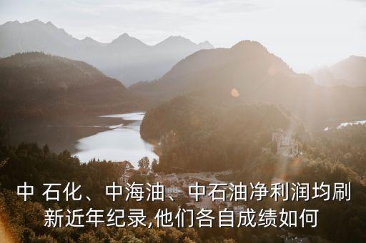 中 石化、中海油、中石油凈利潤(rùn)均刷新近年紀(jì)錄,他們各自成績(jī)?nèi)绾? class=