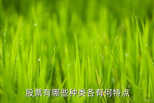  股票有哪些種類(lèi)各有何特點(diǎn)