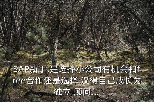 SAP新手,是選擇小公司有機(jī)會(huì)和free合作還是選擇 漢得自己成長(zhǎng)為獨(dú)立 顧問...