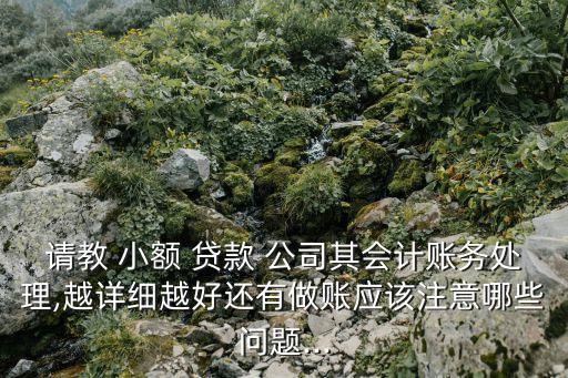 請教 小額 貸款 公司其會計賬務(wù)處理,越詳細(xì)越好還有做賬應(yīng)該注意哪些問題...