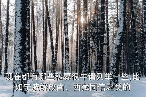現(xiàn)在都有哪些私募很牛請列舉一些,比如寧波解放南、西藏同信之類的