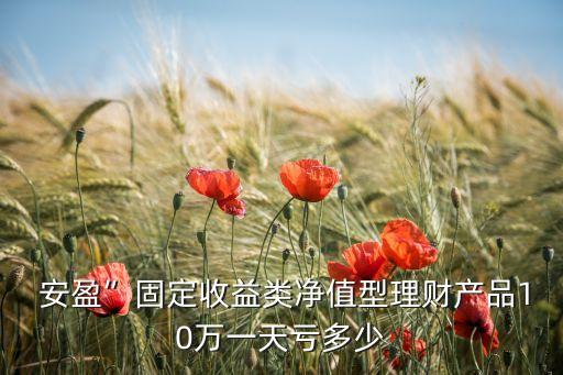  安盈”固定收益類(lèi)凈值型理財(cái)產(chǎn)品10萬(wàn)一天虧多少