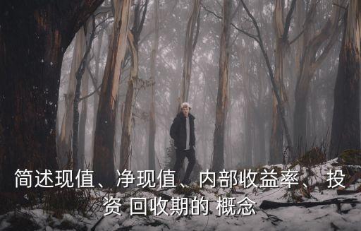 簡述現(xiàn)值、凈現(xiàn)值、內(nèi)部收益率、 投資 回收期的 概念
