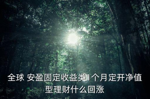 全球 安盈固定收益類(lèi)1個(gè)月定開(kāi)凈值型理財(cái)什么回漲