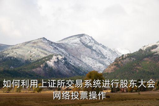 如何利用上證所交易系統(tǒng)進行股東大會網(wǎng)絡(luò)投票操作