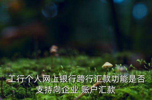 工行個人賬戶轉(zhuǎn)公司賬戶,工行企業(yè)轉(zhuǎn)個人賬戶手續(xù)費(fèi)