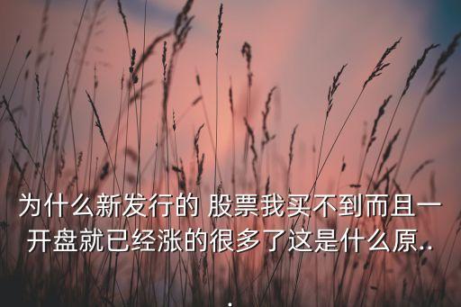 為什么新發(fā)行的 股票我買(mǎi)不到而且一開(kāi)盤(pán)就已經(jīng)漲的很多了這是什么原...