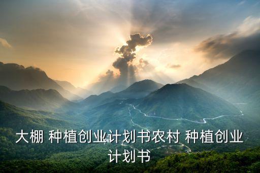 大棚 種植創(chuàng)業(yè)計(jì)劃書(shū)農(nóng)村 種植創(chuàng)業(yè)計(jì)劃書(shū)