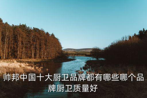 帥邦中國十大廚衛(wèi)品牌都有哪些哪個(gè)品牌廚衛(wèi)質(zhì)量好