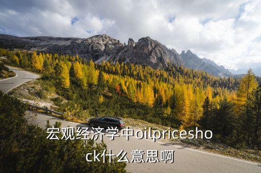 宏觀經濟學中oilpriceshock什么意思啊