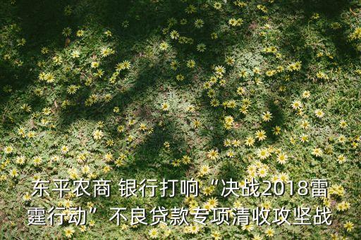 東平農(nóng)商 銀行打響“決戰(zhàn)2018雷霆行動(dòng)”不良貸款專(zhuān)項(xiàng)清收攻堅(jiān)戰(zhàn)