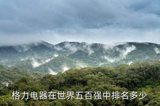 格力電器在世界五百強(qiáng)中排名多少