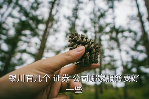 銀川有幾個 證券 公司哪家服務要好一些