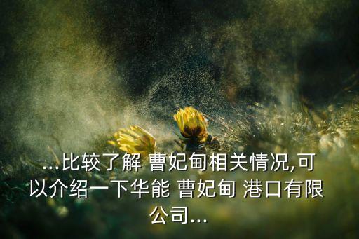...比較了解 曹妃甸相關情況,可以介紹一下華能 曹妃甸 港口有限 公司...