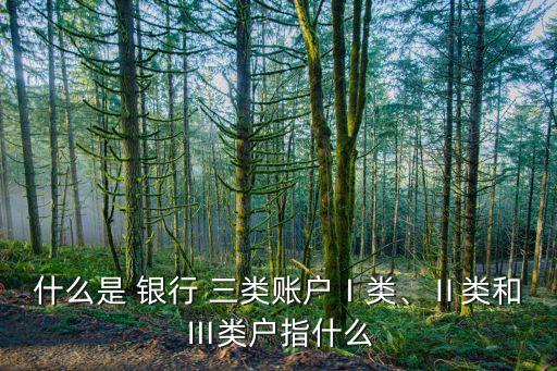 什么是 銀行 三類賬戶Ⅰ類、Ⅱ類和Ⅲ類戶指什么