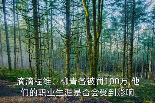  滴滴程維、柳青各被罰100萬(wàn),他們的職業(yè)生涯是否會(huì)受到影響