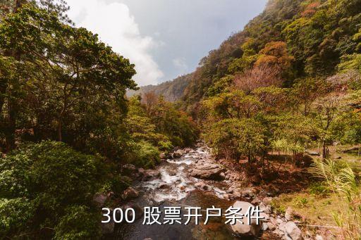  300 股票開(kāi)戶條件