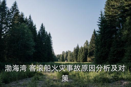渤海灣 客滾船火災事故原因分析及對策