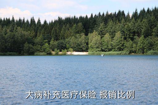  大病補(bǔ)充醫(yī)療保險 報銷比例