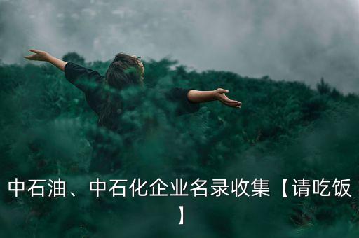 中石油、中石化企業(yè)名錄收集【請(qǐng)吃飯】
