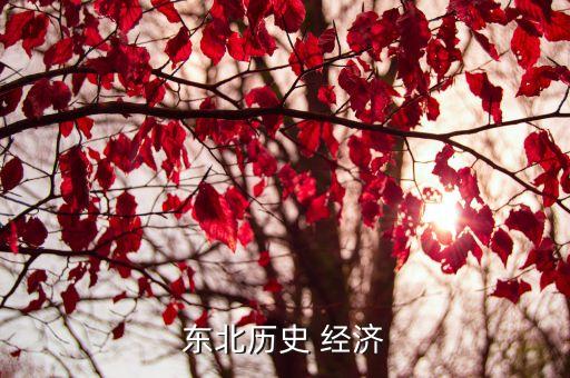 東北歷史 經(jīng)濟