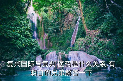 復興國際與復興 醫(yī)藥是什么關(guān)系,有明白的兄弟解答一下