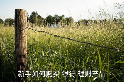 新手如何購(gòu)買(mǎi) 銀行 理財(cái)產(chǎn)品