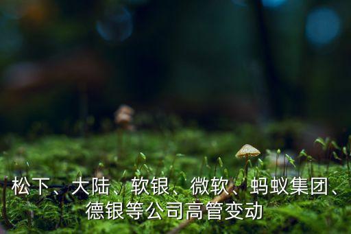 松下、大陸、軟銀、微軟、螞蟻集團(tuán)、德銀等公司高管變動(dòng)