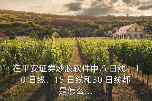 在平安證券炒股軟件中,5 日線、10 日線、15 日線和30 日線都是怎么...