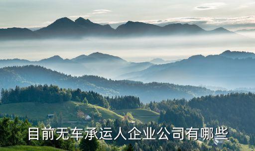 目前無車承運人企業(yè)公司有哪些