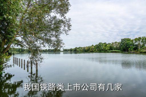 中海集團回購中海海盛資產
