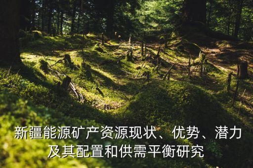  新疆能源礦產(chǎn)資源現(xiàn)狀、優(yōu)勢(shì)、潛力及其配置和供需平衡研究