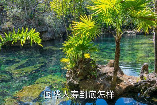  國(guó)華人壽到底怎樣