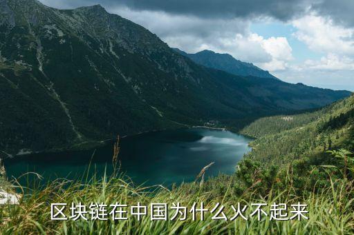  區(qū)塊鏈在中國(guó)為什么火不起來
