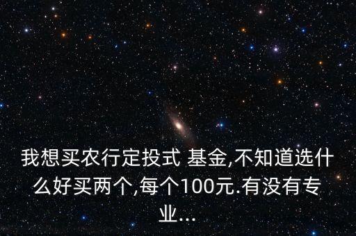 我想買(mǎi)農(nóng)行定投式 基金,不知道選什么好買(mǎi)兩個(gè),每個(gè)100元.有沒(méi)有專業(yè)...